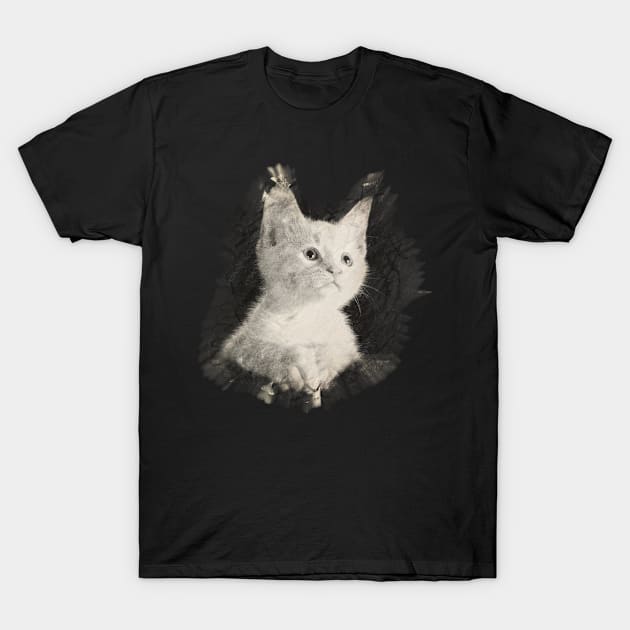 Cat T-Shirt by melcu